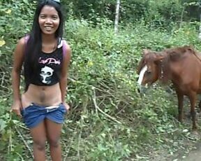 Horse xxx Horse Girl
