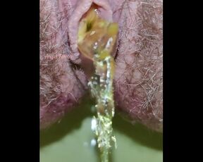 Girl pissing in the Toilet. Enjoy the Pee stream